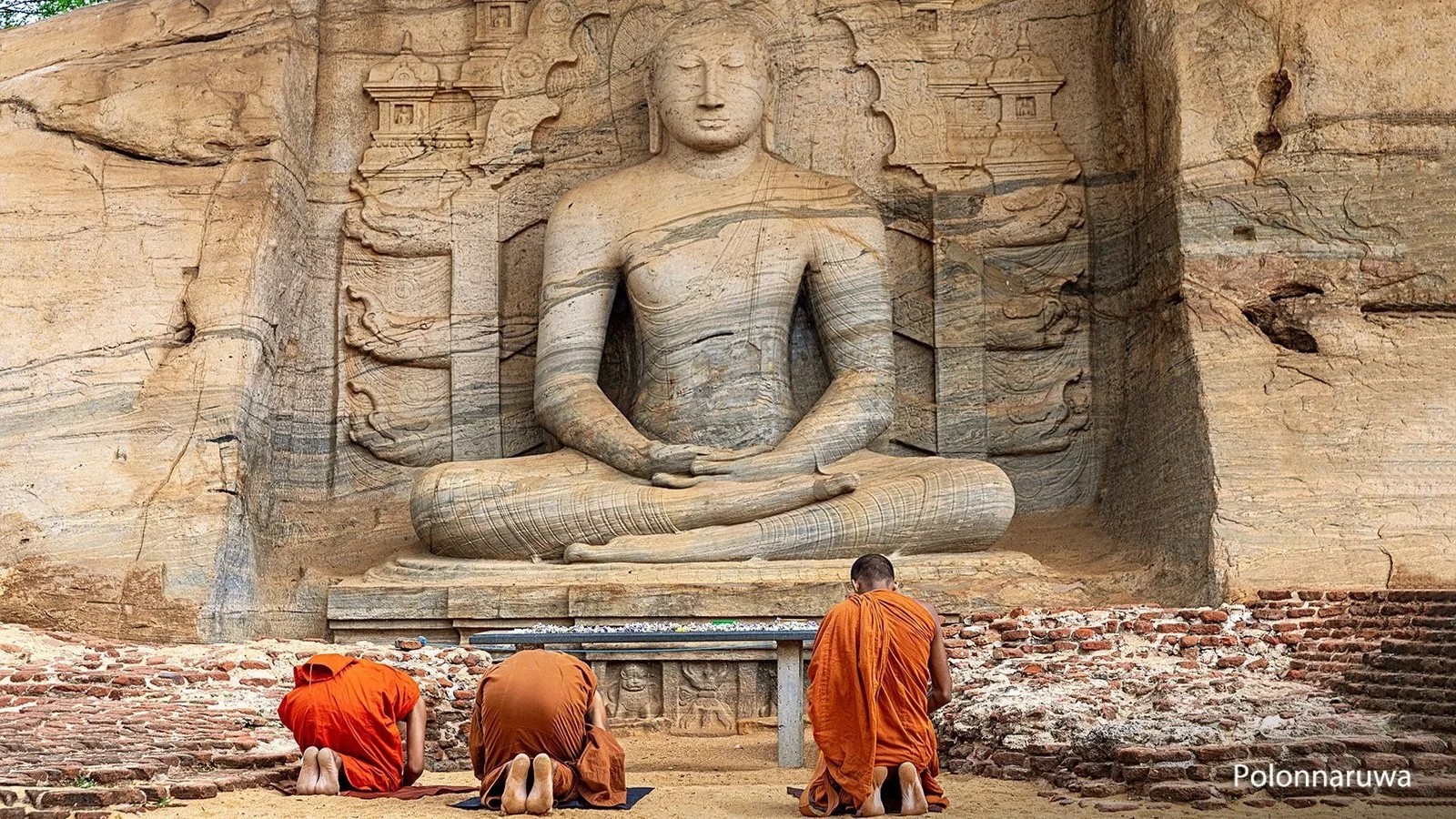 Hotel Herbaciane tygrysy