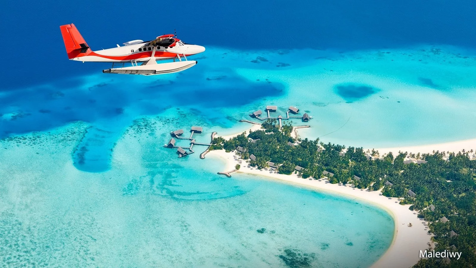 Wycieczka Herbaciane tygrysy na Malediwach