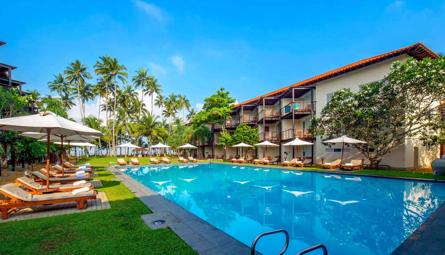 Basen w hotelu Mermaid Hotel & Club