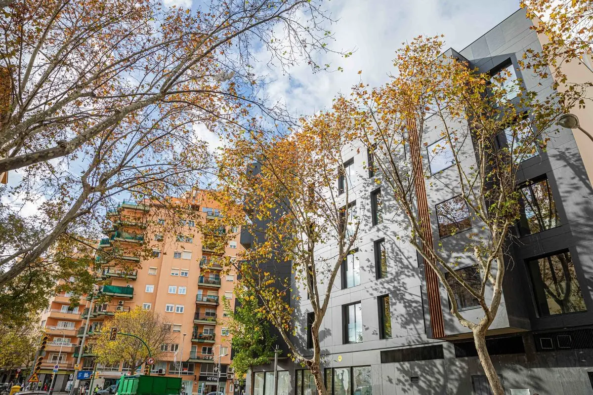 Palma — JS PALMA PLAZA