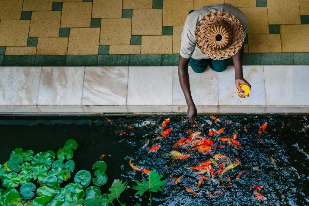 Sarova Whitesands Beach Resort & Spa — SAROVA WHITE SANDS BEACH RESORT & SPA