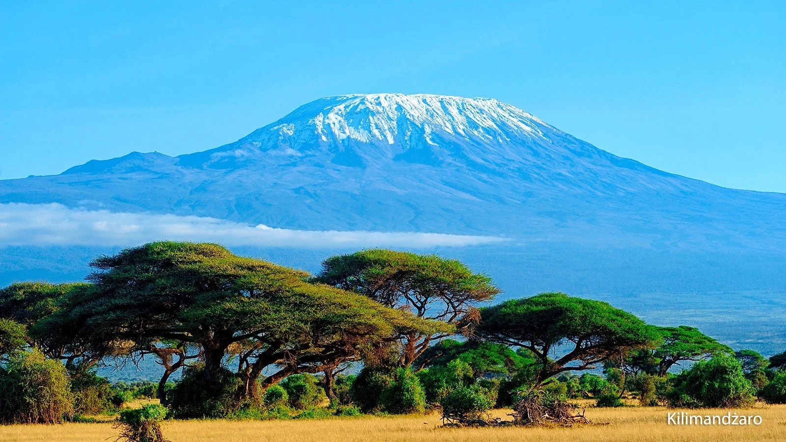 Wycieczka Śniegi Kilimandżaro