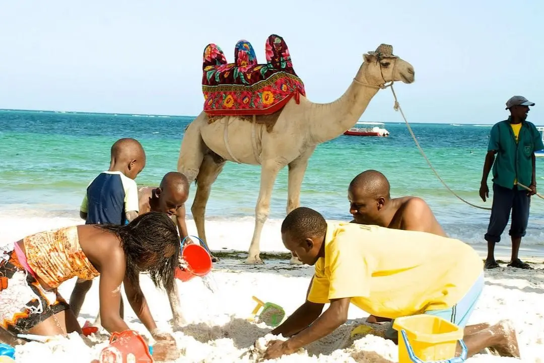 Śniegi Kilimandżaro + Traveller's Beach Hotel & Club — VOYAGER BEACH RESORT