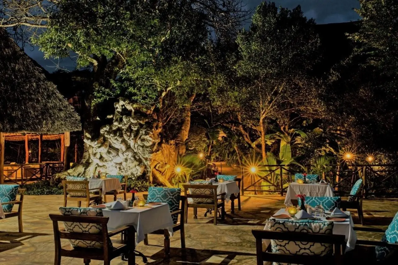 Tikitam Palms Boutique Hotel — TIKITAM PALMS BOUTIQUE