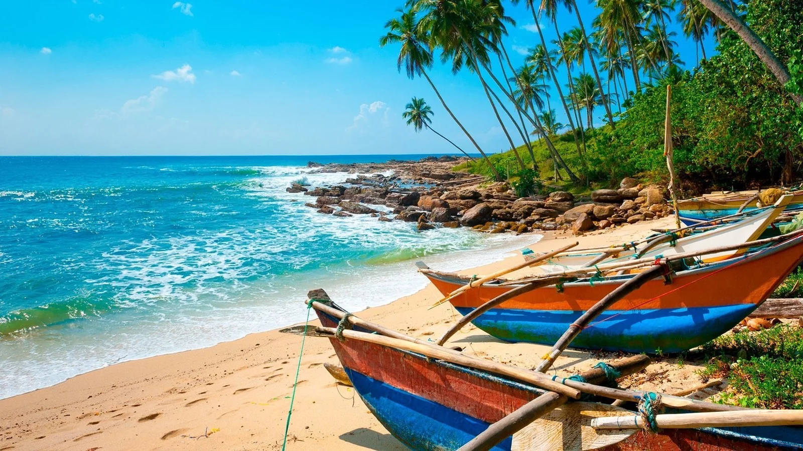 Hotel Wakacje pod palmami! Cejlon + Hotel Club Hotel Dolphin