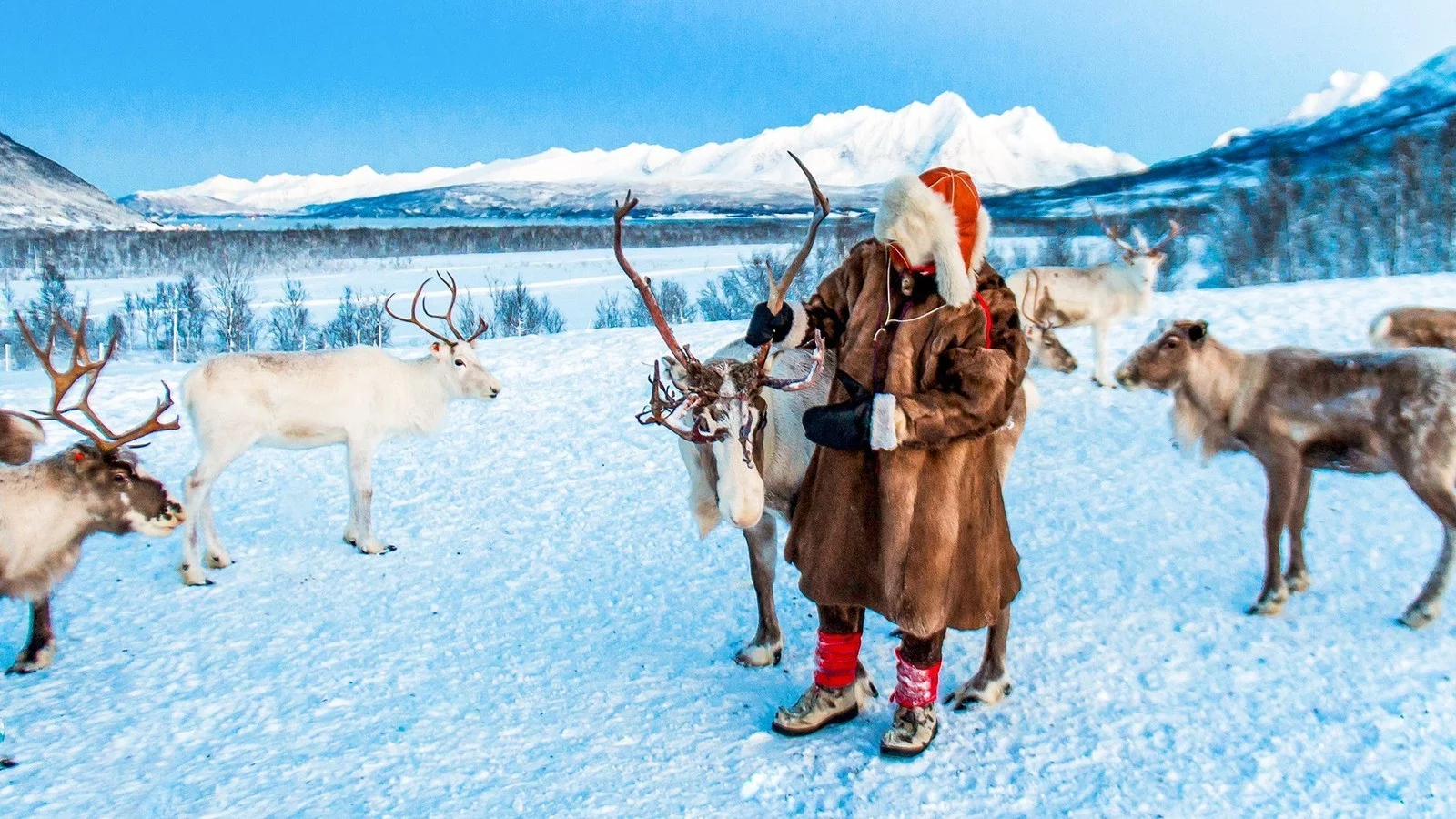 Hotel Z wizytą u Saamów
