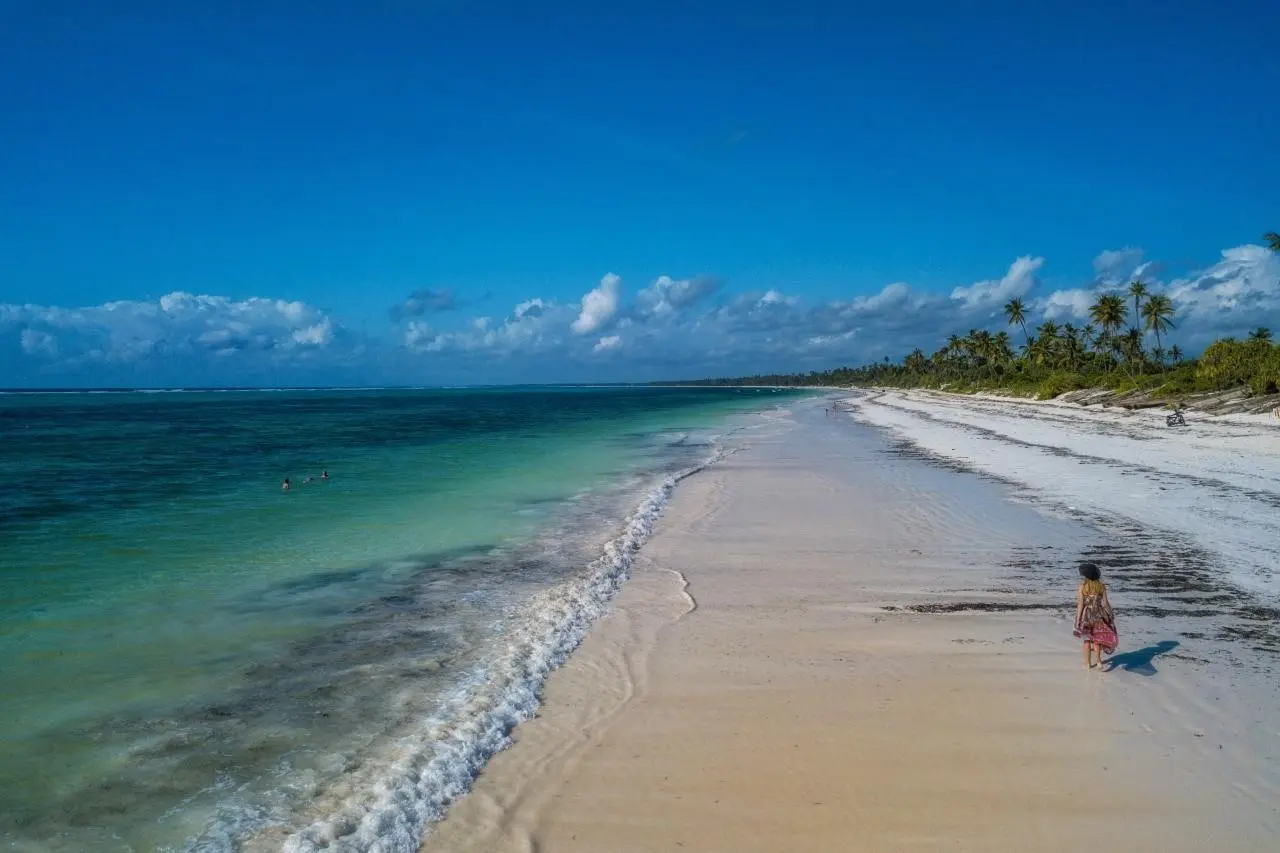 Zanzibar Queen — ZANZIBAR QUEEN